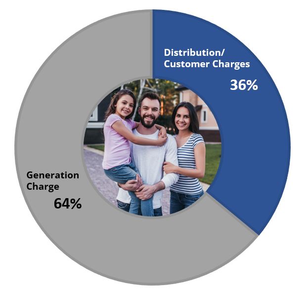 Pie Chart showing Generation Charge is 68% and Distribution/Customer Charges is 32%