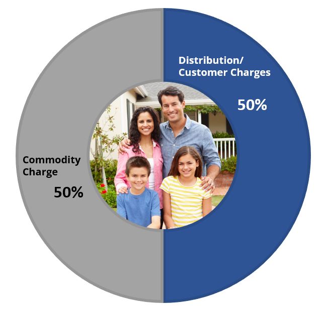 Pie Chart showing Commodity Charge is 53% and Distribution/Customer Charges is 47%