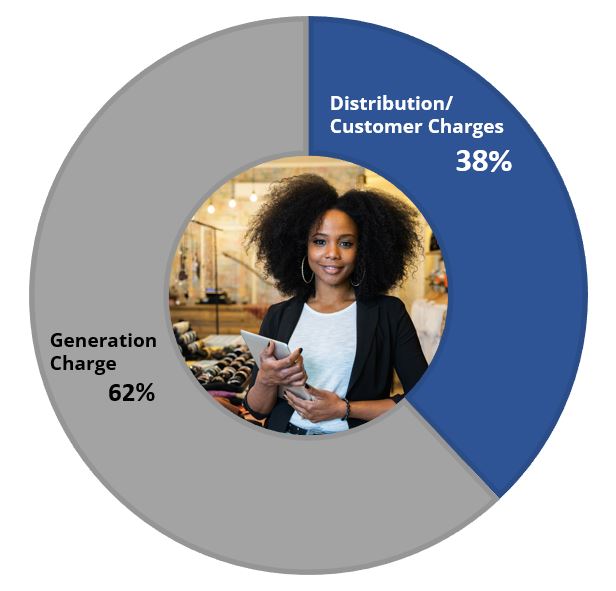 Pie Chart showing Generation Charge is 66% and Distribution/Customer Charges is 34%