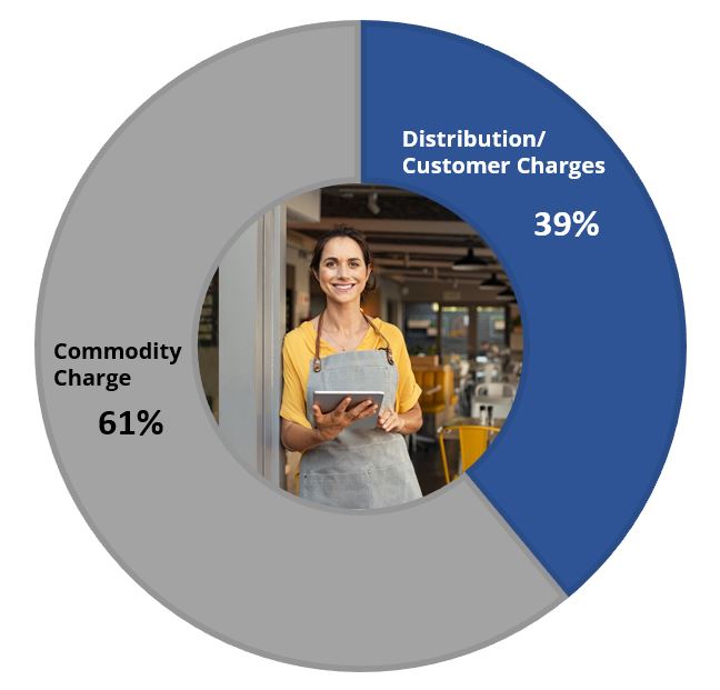 Pie Chart showing Commodity Charge is 51% and Distribution/Customer Charges is 39%